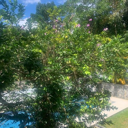Healand Holiday Bungalow And Restaurant Deniyaya Esterno foto